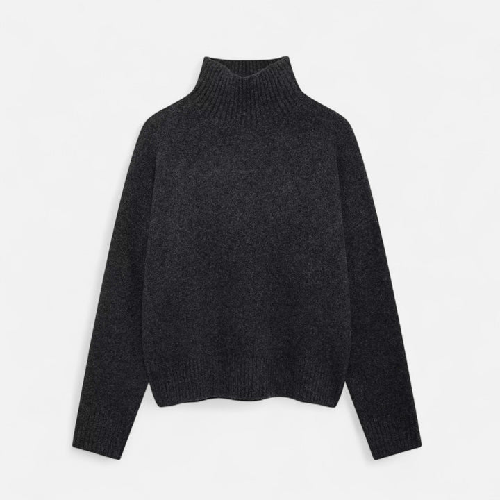 Elegant Turtleneck Sweater Women Vintage Winter