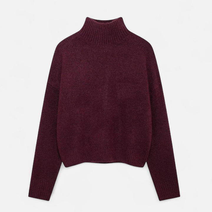 Elegant Turtleneck Sweater Women Vintage Winter